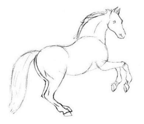 This adorable animal does have a unique anatomy filled with simple details that you need to be aware of. easy+sketches+of+animals | Step - 1 Drawing a Horse in ...