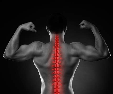 Spine Health How Is Yours Whole Therapy Ottawa