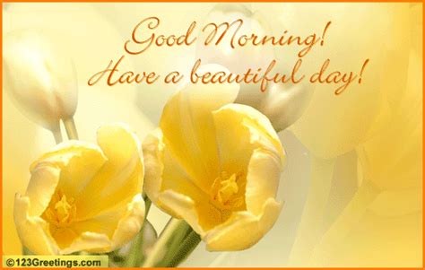 Have A Beautiful Day Free Good Morning Ecards Greeting Cards 123