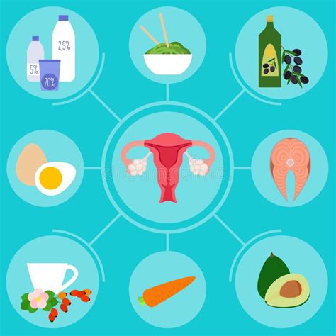 Infographics With Foods For Female Reproductive System Health Stock