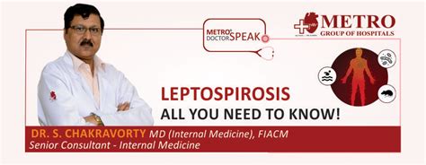 Leptospirosis All You Need To Know Metro Group Of Hospitals