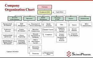Sample Organizational Chart For Manufacturing Company The Document