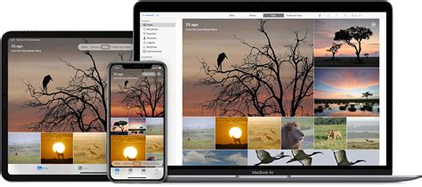Utilizar Fotos En El Mac Soporte Técnico De Apple