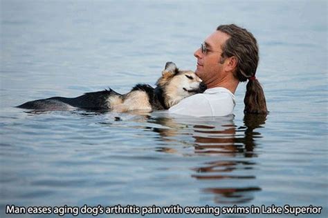 Faith In Humanity Restored Animals Edition Gallery Ebaums World