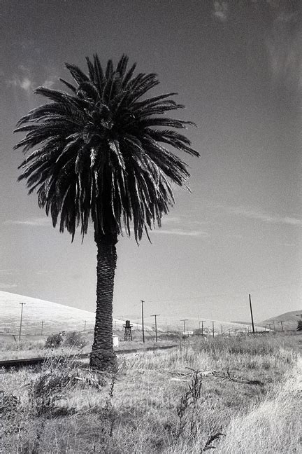 Altamont Pass California In The 1980s — Jwcurry Photography