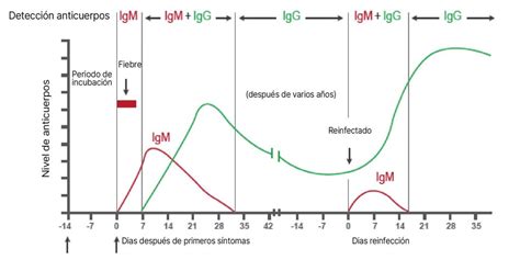 BIOANAMED: Tema 1 (Anatomía Aplicada). Micoorganismos y Virus