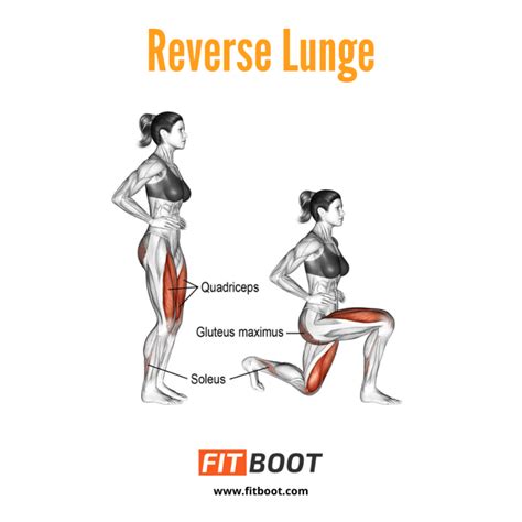 Reverse Lunges How To Do Muscles Worked Benefits And Variations