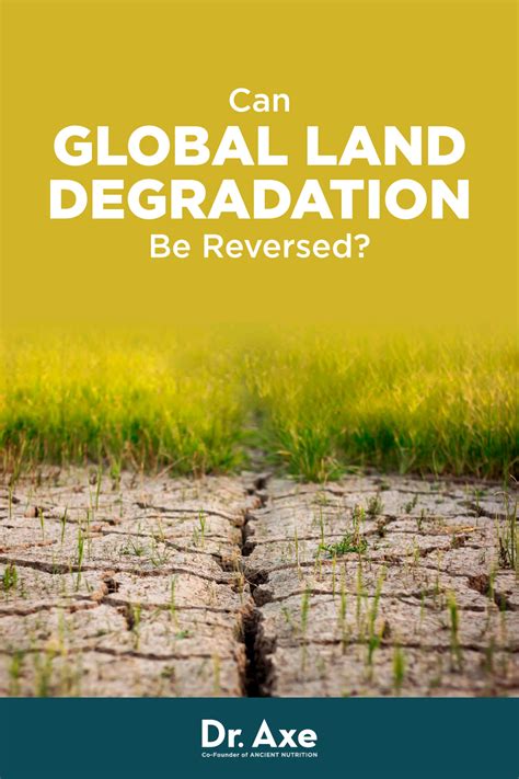 Can Global Land Degradation Be Reversed Dr Axe