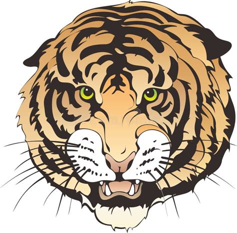 Tiger Head Stock Illustration Illustration Of Cartoon 48688258