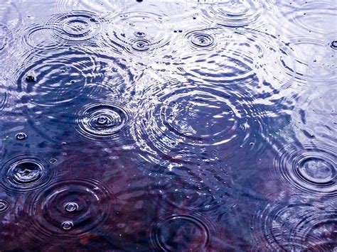 Rain Raindrops In The Water Ripple Effect By Sanita Skribe Photo
