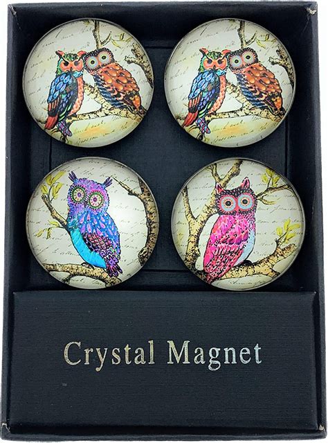 Value Arts Funky Owl Print Glass Domed Magnets Assorted