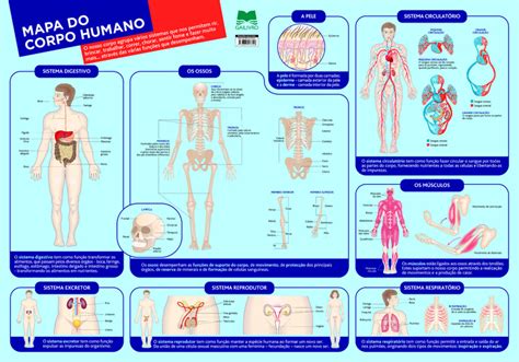 Leyaonline Mapa Do Corpo Humano X Autores V Rios
