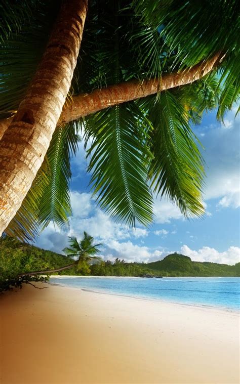 Tropical Beach Live Wallpaper For Desktop