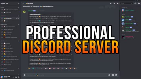 Make A Professional Discord Server Within 24 Hours By Lezentix Fiverr