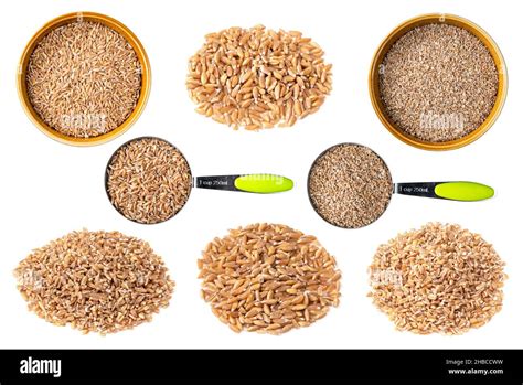 Set Of Emmer Farro Wheat Grains Cutout On White Background Stock Photo