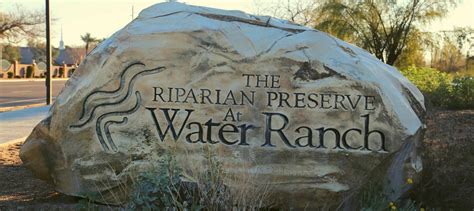 Riparian Preserve At Water Ranch Gilbert Arizona