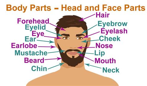 Aug 09, 2018 · parts of the human cell. Parts of the body by Learn English Fun Club copy1 on emaze