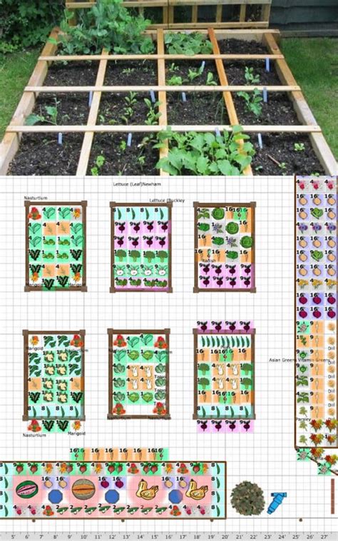 Square Foot Gardening Printable Companion Planting Chart Garden