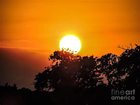 Close Encounter Photograph By Marilee Noland Fine Art America