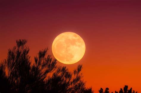 Full Moons In October Harvest Moon Tonight And A Rare
