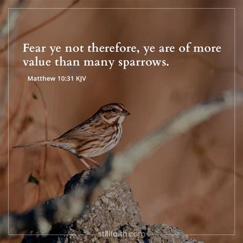 159 Bible Verses About Fear Kjv