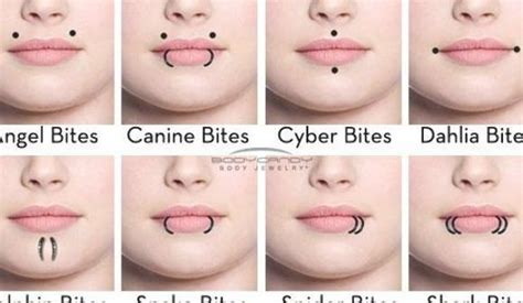 Lip Piercing Names Piercing Tatuaggi