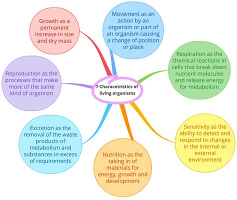 Igcse Biology Revision Notes Smart Exam Resources
