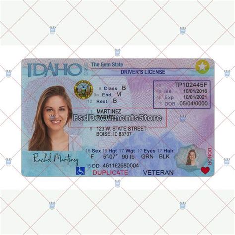 Florida Driver License Psd Template Psd Documents Store