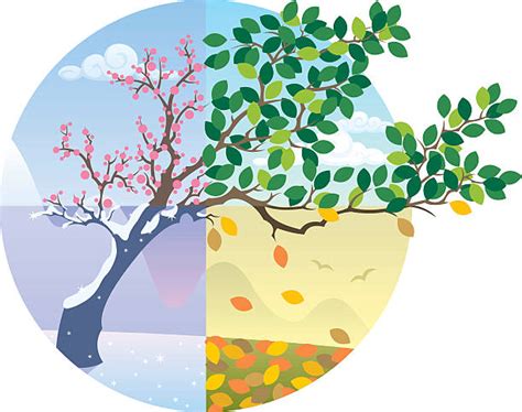 Royalty Free Four Seasons Clip Art Vector Images And Illustrations Istock