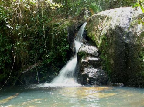 Honduras La Tigra El Primer Parque Nacional De Honduras Creado En El 1980