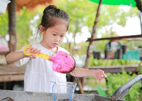 Little Asian Child Girl Planting The Tree In Pot Stock Image Image Of