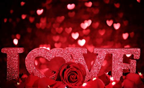 Wallpaper Valentines Day Love Inscription Rose Petals Romance