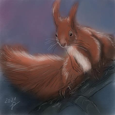 Wildfluff Squirrel Digital Art By Nico Who Fine Art America