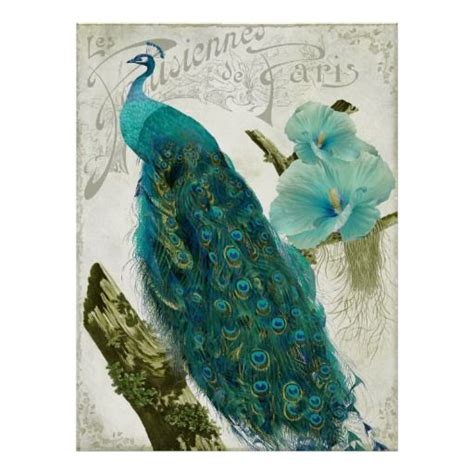 10 Best Images About Vintage Peacock Graphics On Pinterest Peacocks