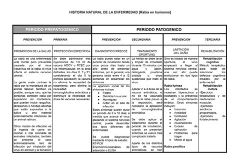 Historia Natural De La Enfermedad Virus De La Rabia Historia