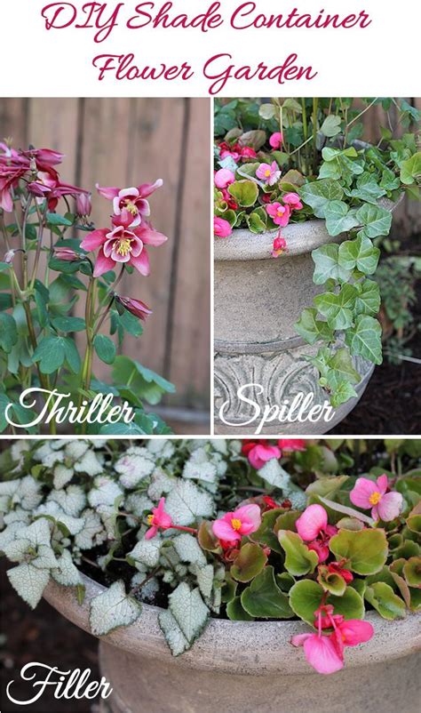 17 Best Images About Container Gardens For Sun And Shade
