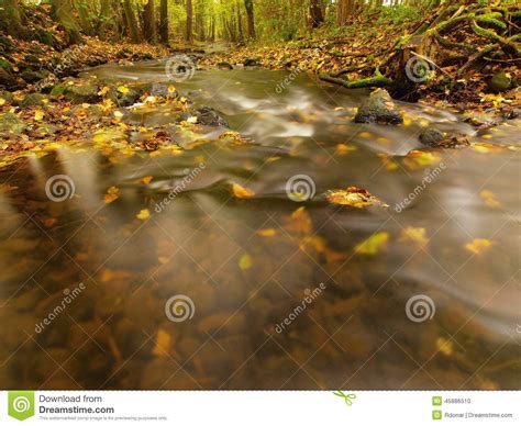 Mountain River With Low Level Of Water Gravel With First Colorful