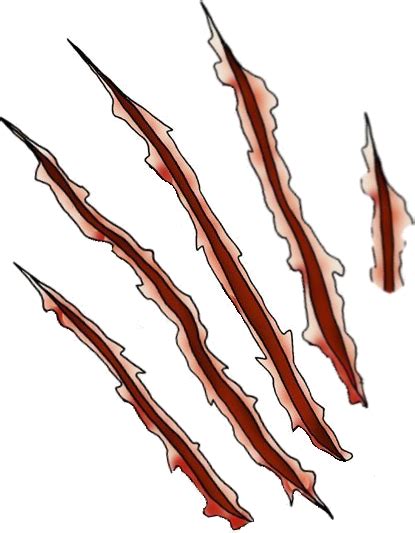 Collection Of Bear Claw Scratch Png Pluspng