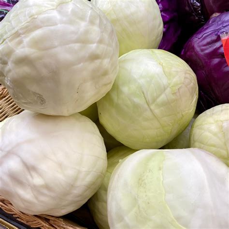White Cabbage Woodbridge Greengrocers