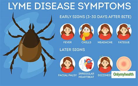 Lyme Disease Symptoms Years Later Jokerjungle