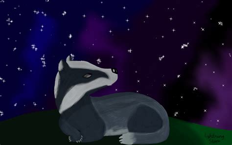 Midnight The Stargazing Badger Warrior Cats