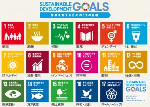 A simple introduction to sustainable development and the sustainable development goals (sdgs). SDGs logo | 紙製化粧箱作成の専門メーカー 創業70年超の老舗 株式会社ケイパックへ
