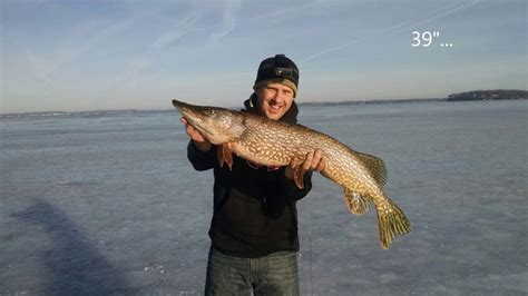Ice Fishing For Pike Giant Wisconsin Northern Pike Ice Fishing Video