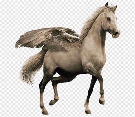 Horse Pegasus Winged Mare Wings Horse Tack Png Pngwing