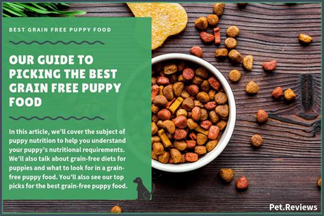 $$ see all 14 available recipes 10 Best Grain Free Puppy Foods: Our Top Rated & Most ...