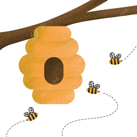 Honey Bee Hive Clipart Transparent Background Honey Bee Hive Hanging