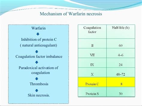 Warfarin Oral Anticoagulant