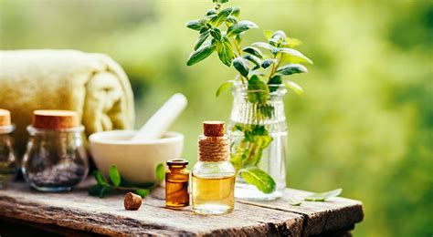 Whats In A Name How To Choose The Best Essential Oils For Massage