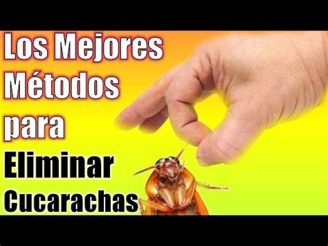 ¿quieres eliminar las cucarachas de tu casa, cocina o negocio? Aprende cómo Eliminar ó Acabar con las Cucarachas en Casa ...