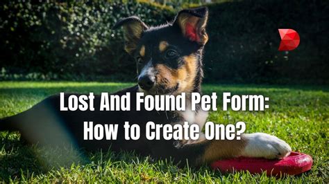 How To Create a Lost And Found Pet Form? - DataMyte